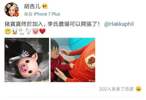 大琪爆料二胎了吗视频,独家视频揭秘幸福瞬间