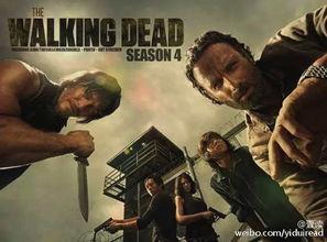 危机四伏电影在线观看,揭秘电影在线观看背后的惊险旅程 第2张 危机四伏电影在线观看,揭秘电影在线观看背后的惊险旅程 第2张