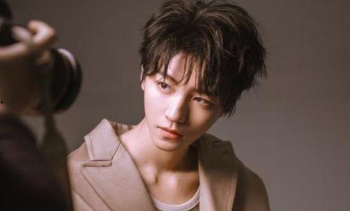 圈内爆料王俊凯录音,揭秘娱乐圈背后的真相与争议  第3张